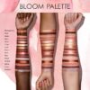 nd bloom 2