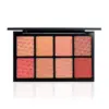 Spotlight Blusher Palette X8