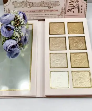 Plouise Golden Ticket All Aboard highlighter palette